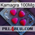 Kamagra 100Mg 13